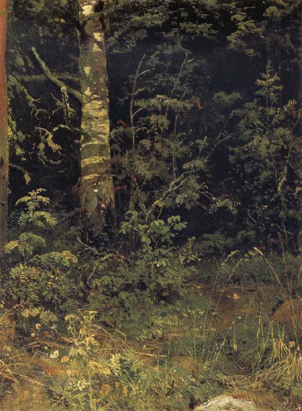 Ivan Shishkin Silver birch and mountain ash